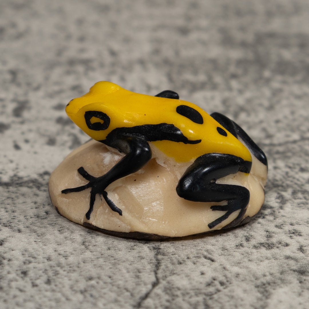 Vintage Black And Yellow Frog Tagua Carving