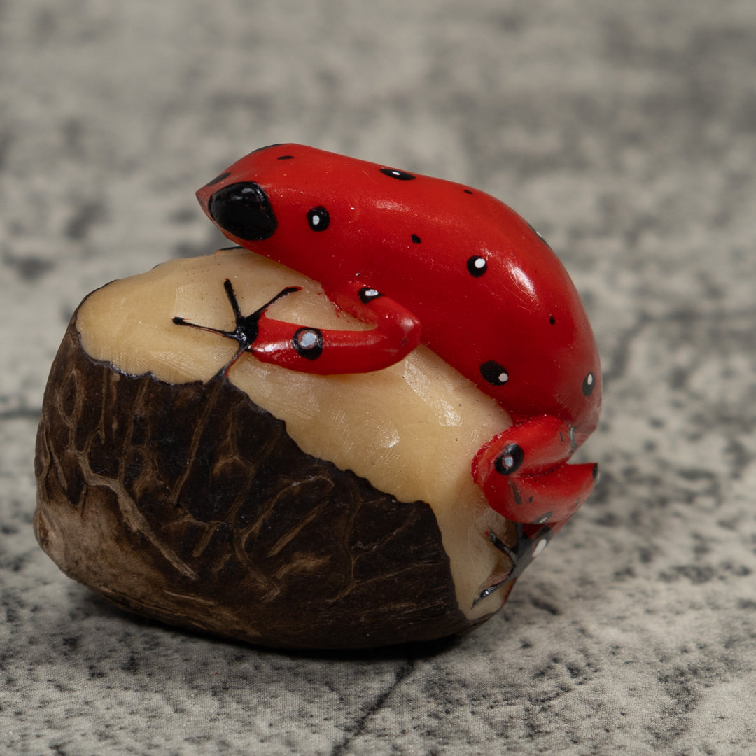 Vintage Red Poison Dart Frog Tagua Carving