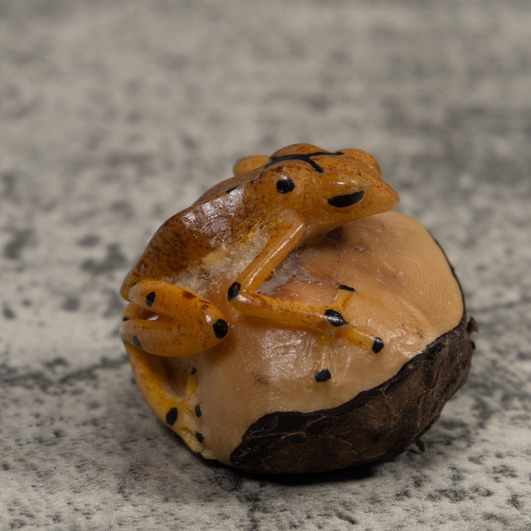 Vintage Poison Dart Frog Tagua Carving