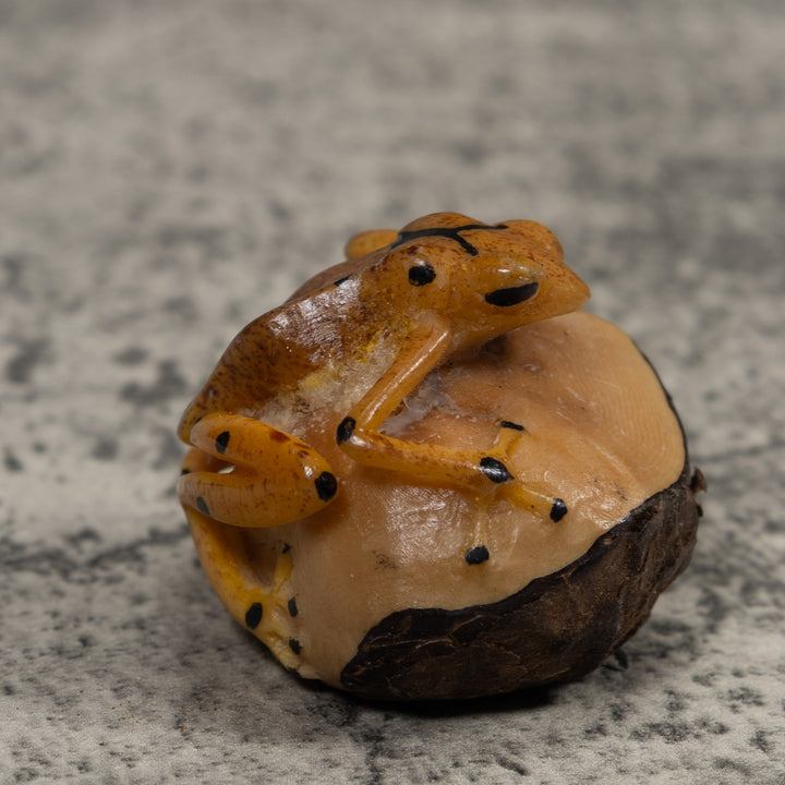Vintage Poison Dart Frog Tagua Carving
