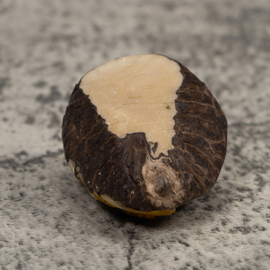 Vintage Poison Dart Frog Tagua Carving