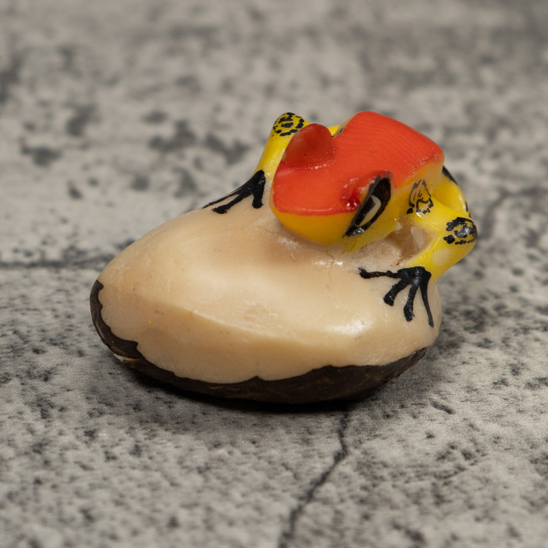 Vintage Red And Yellow Poison Dart Frog Tagua Carving
