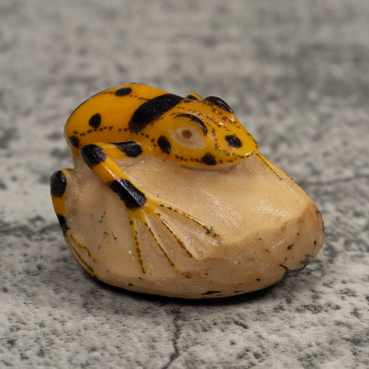 Vintage Golden Frog Tagua Carving