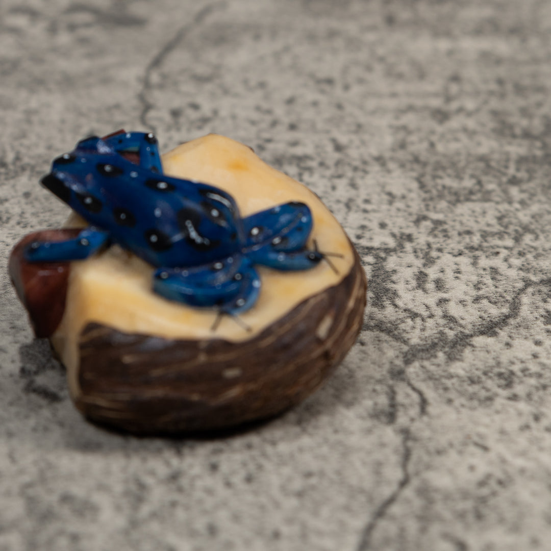 Blue White And Brown Poison Dart Frog Tagua Carving