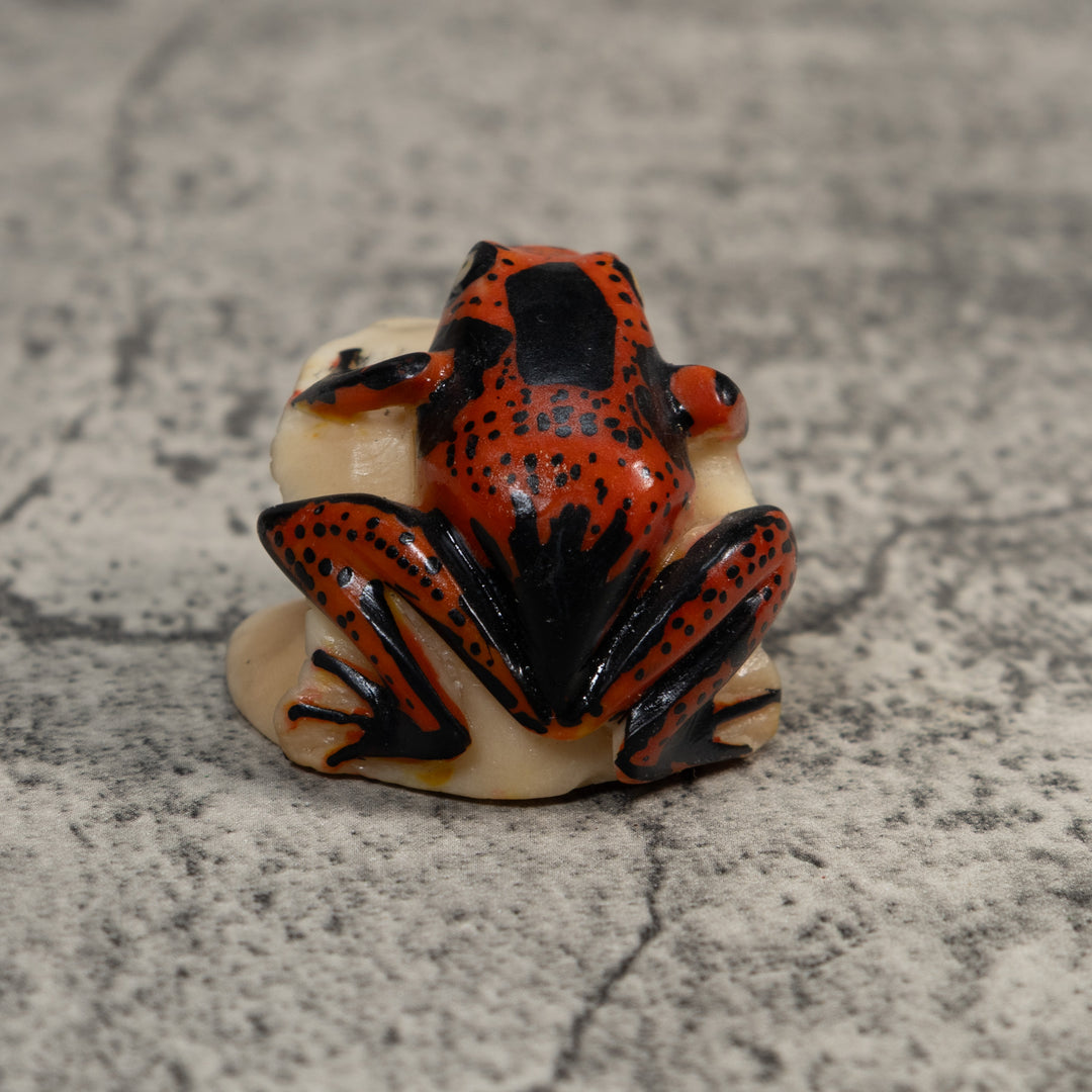 Black And Red Poison Dart Frog Tagua Carving