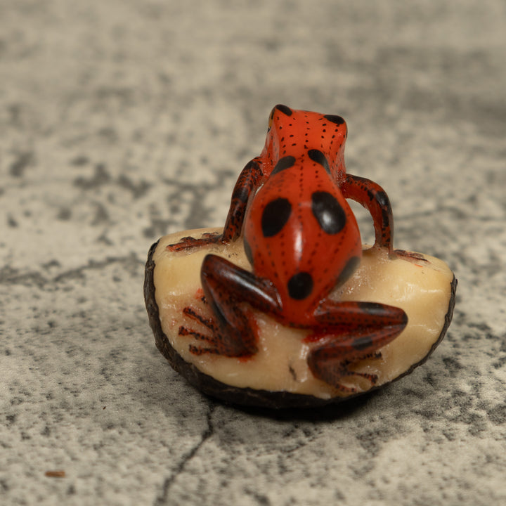 Poison Dart Frog Tagua Carving