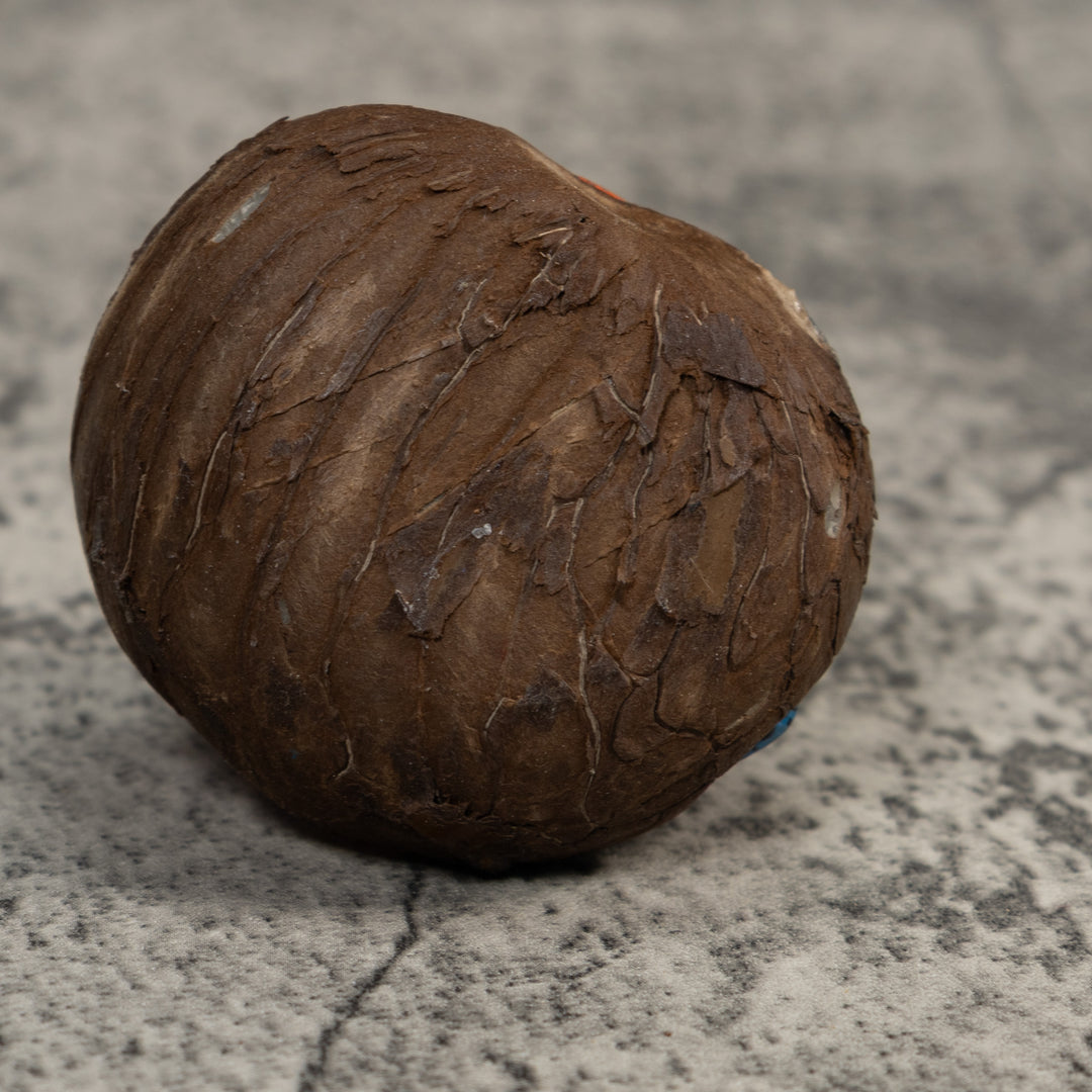 Red And Blue Poison Dart Frog Tagua Carving