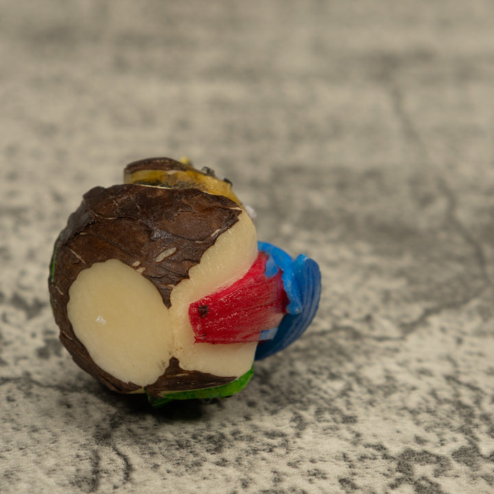 Macaw Parrot Bird Tagua Carving