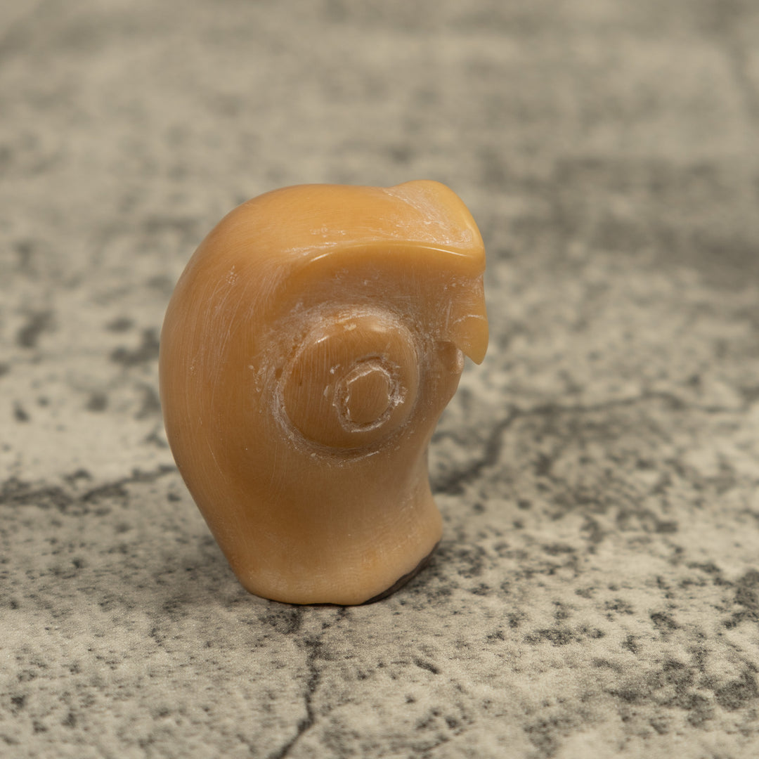 Vintage Natural White Owl Bird Tagua Carving