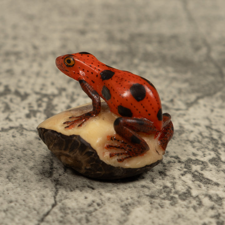Poison Dart Frog Tagua Carving
