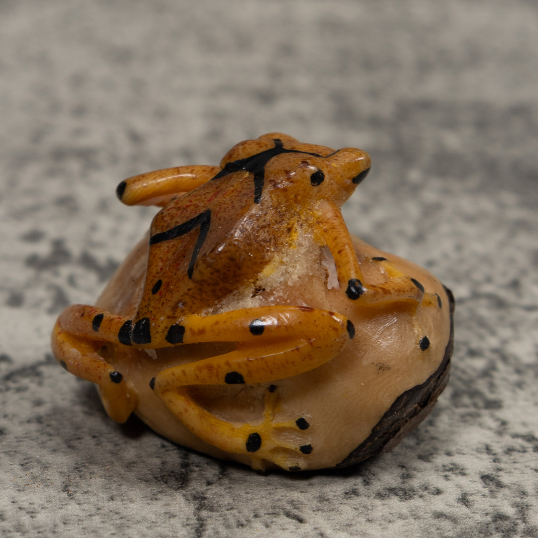 Vintage Poison Dart Frog Tagua Carving