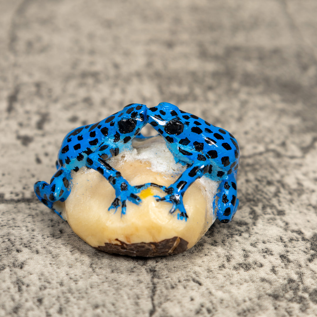 Black And Blue Double Poison Dart Frog Tagua Carving