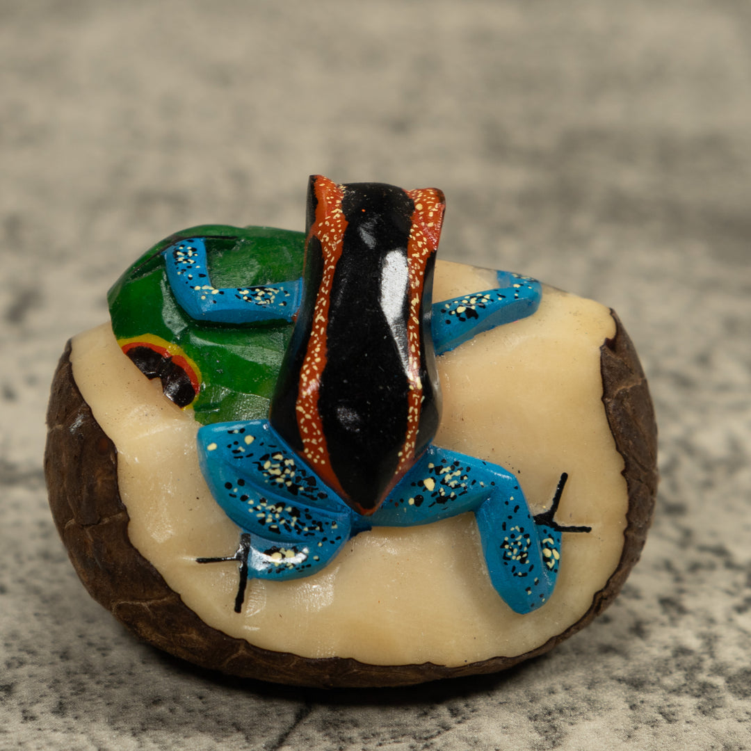 Blue Black And Red Frog Tagua Carving