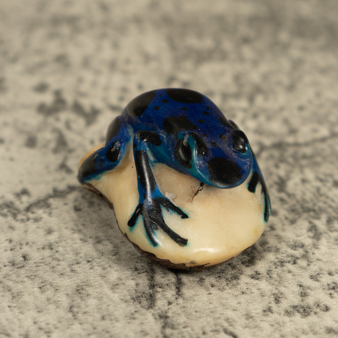 Vintage Blue Poison Dart Frog Tagua Carving