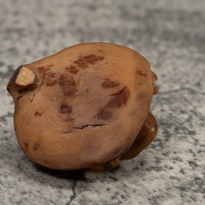 Vintage Brown Frog Tagua Carving