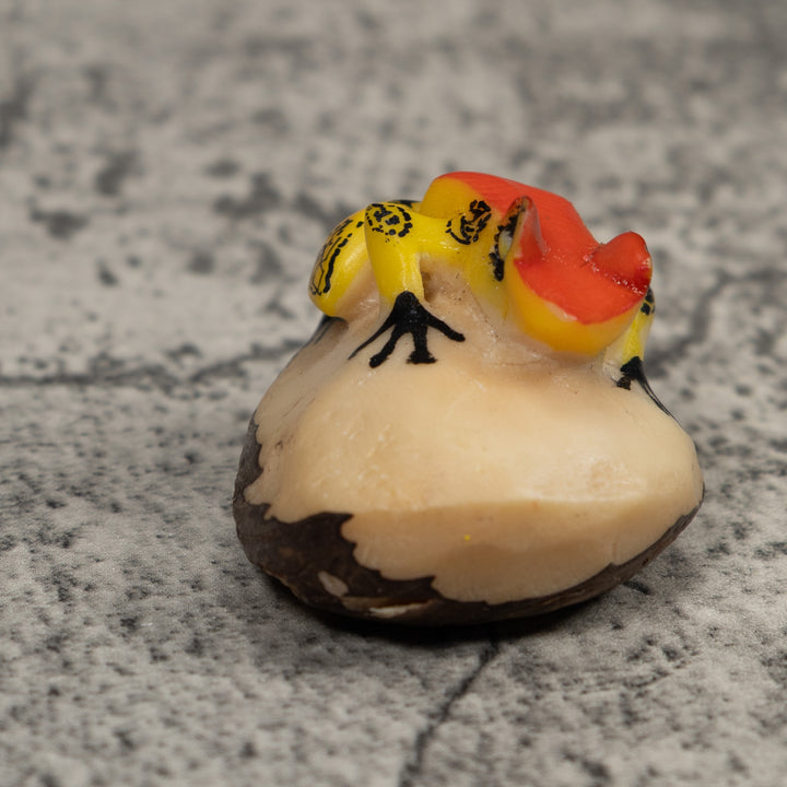 Vintage Red And Yellow Poison Dart Frog Tagua Carving