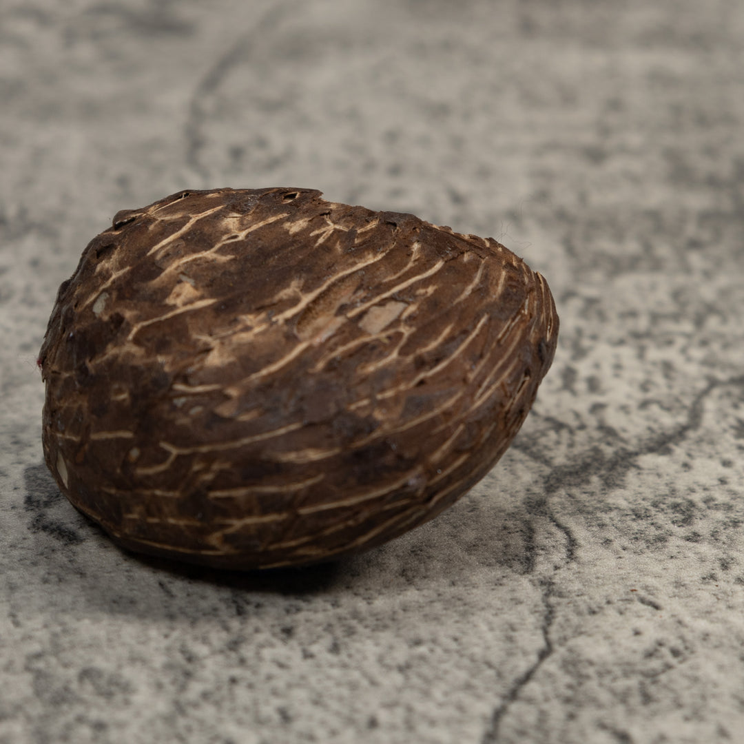 Blue White And Brown Poison Dart Frog Tagua Carving