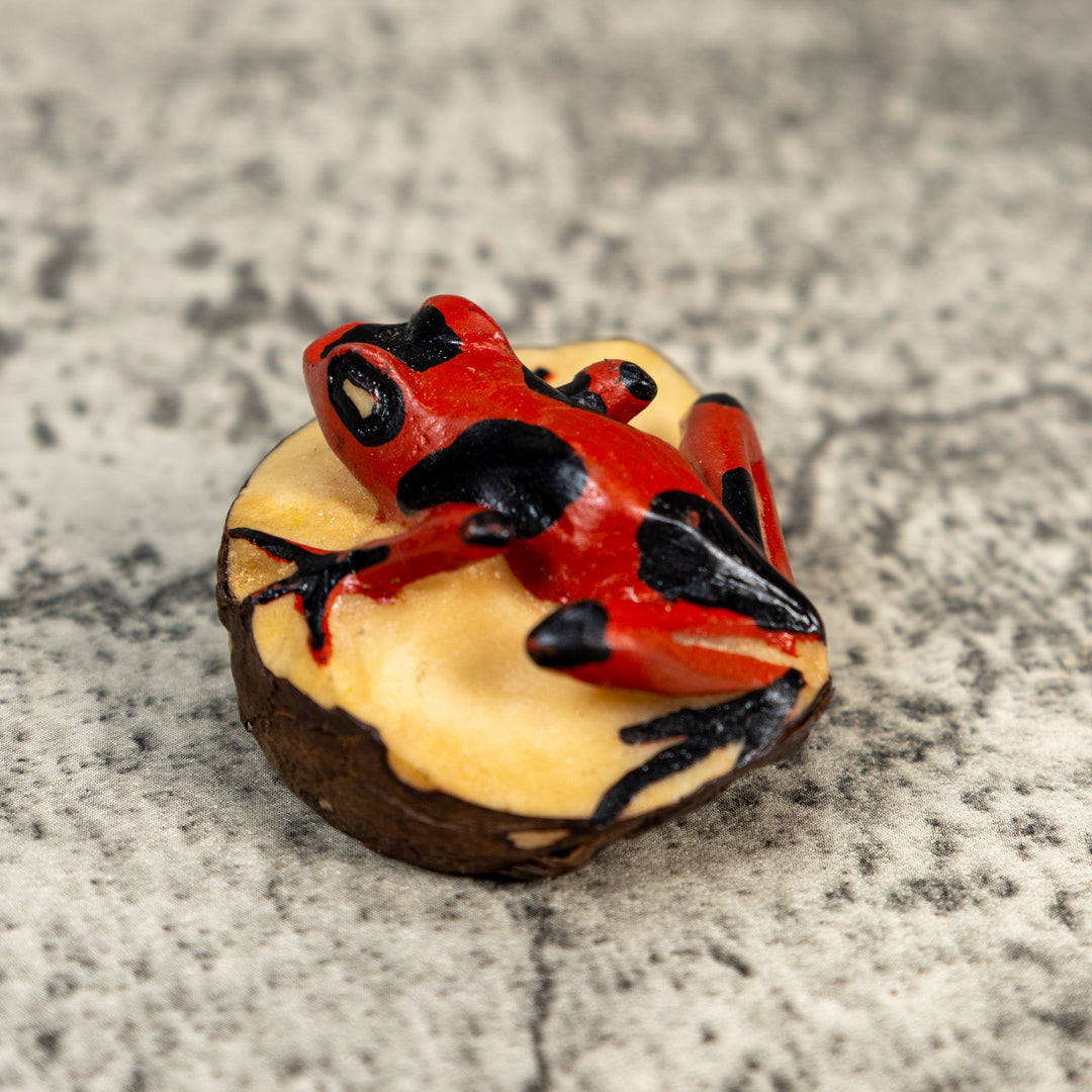 Black And Red Poison Dart Frog Tagua Carving