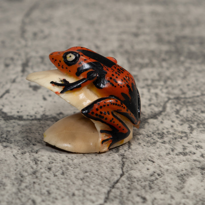 Black And Red Poison Dart Frog Tagua Carving