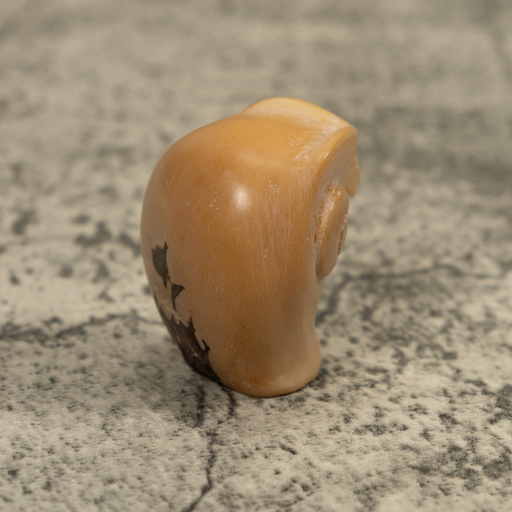 Vintage Natural White Owl Bird Tagua Carving