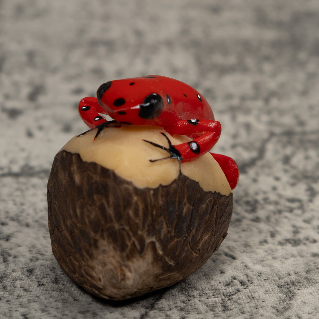 Vintage Red Poison Dart Frog Tagua Carving