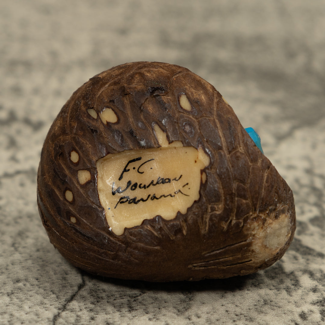 Blue Black And Red Frog Tagua Carving