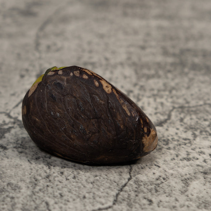Black White And Green Caterpillar Tagua Carving
