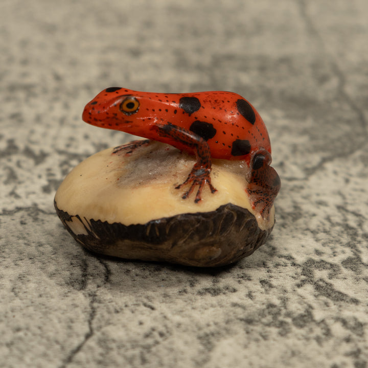 Poison Dart Frog Tagua Carving