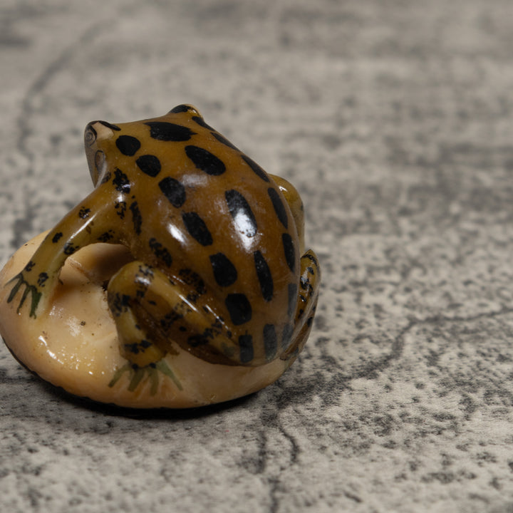 Vintage Frog Tagua Carving