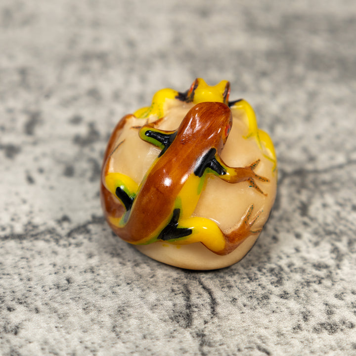 Double Poison Dart Frog Tagua Carving