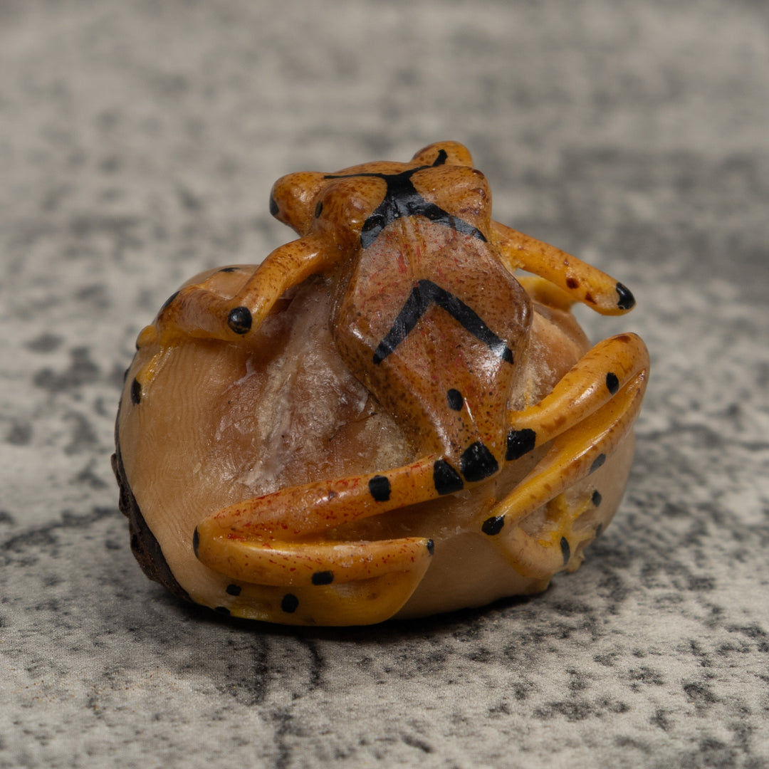 Vintage Poison Dart Frog Tagua Carving