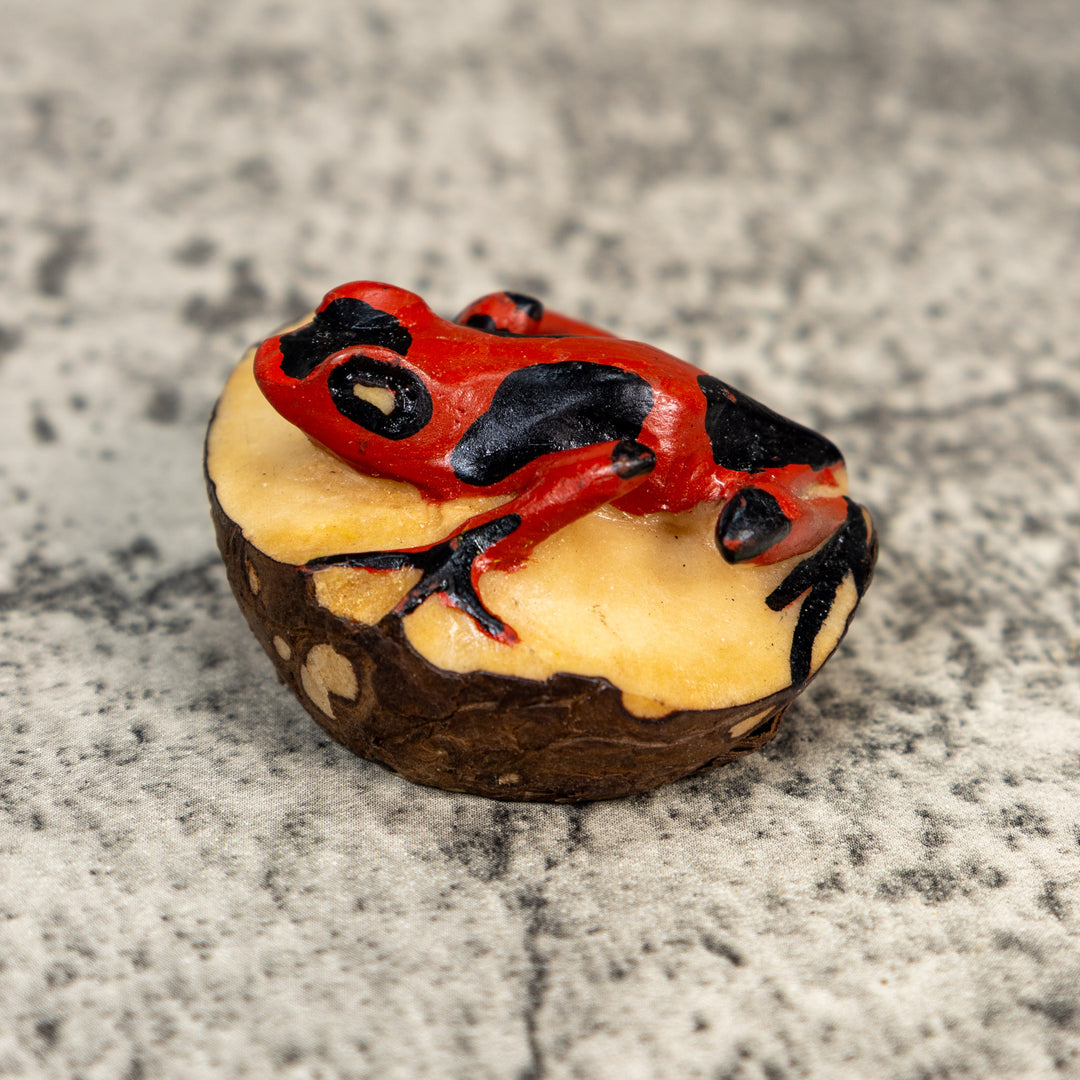 Black And Red Poison Dart Frog Tagua Carving