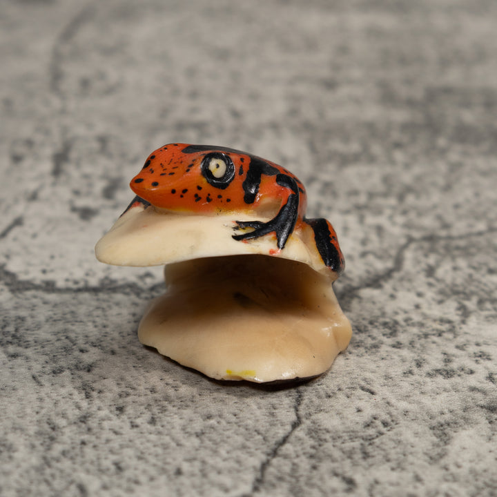 Black And Red Poison Dart Frog Tagua Carving