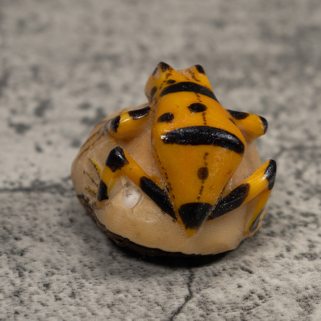 Vintage Golden Frog Tagua Carving