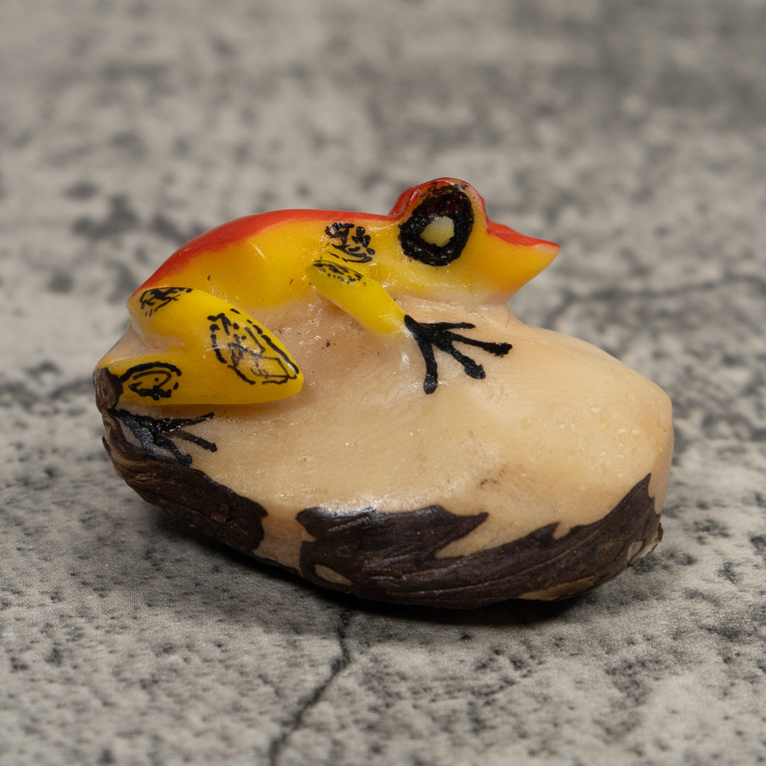 Vintage Red And Yellow Poison Dart Frog Tagua Carving