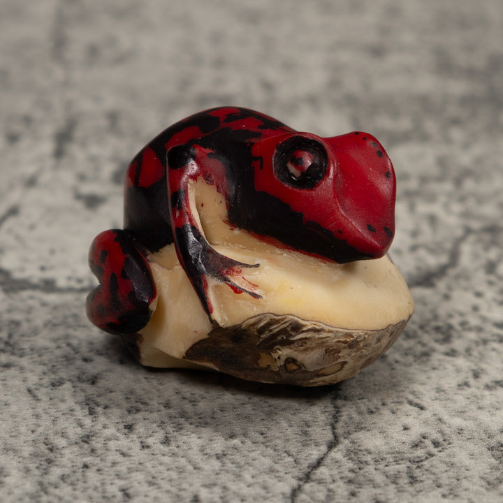 Poison Dart Frog Tagua Carving