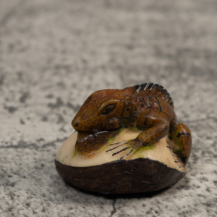Brown And Black Iguana Lizard Tagua Carving