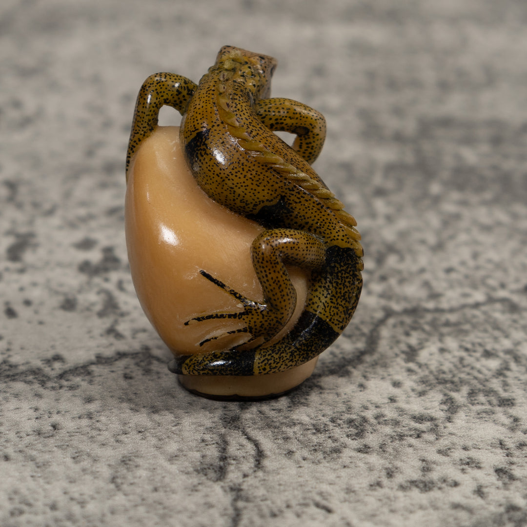 Iguana Lizard Reptile Tagua Carving