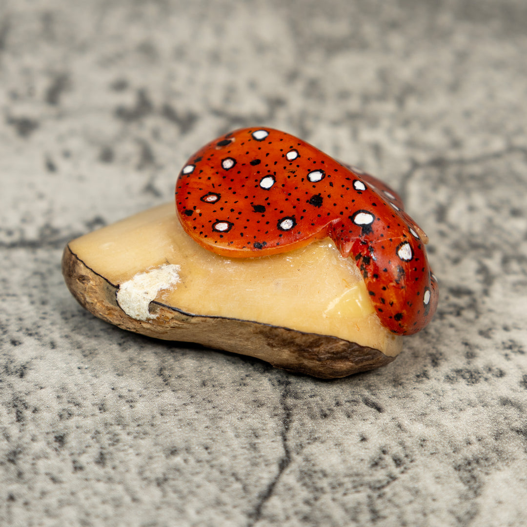 Orange Black And White Stingray Tagua Carving