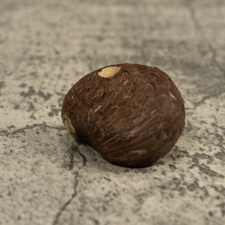 Gold Poison Dart Frog Tagua Carving