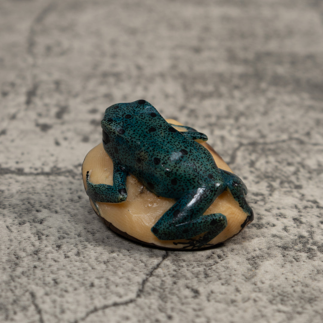 Vintage Blue And Black Frog Tagua Carving