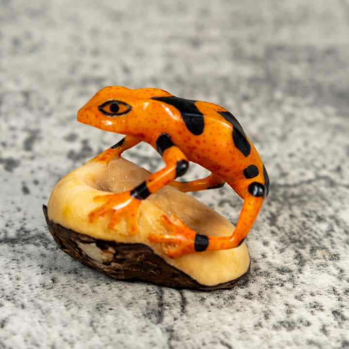 Fully Undercut Poison Dart Frog Tagua Carving