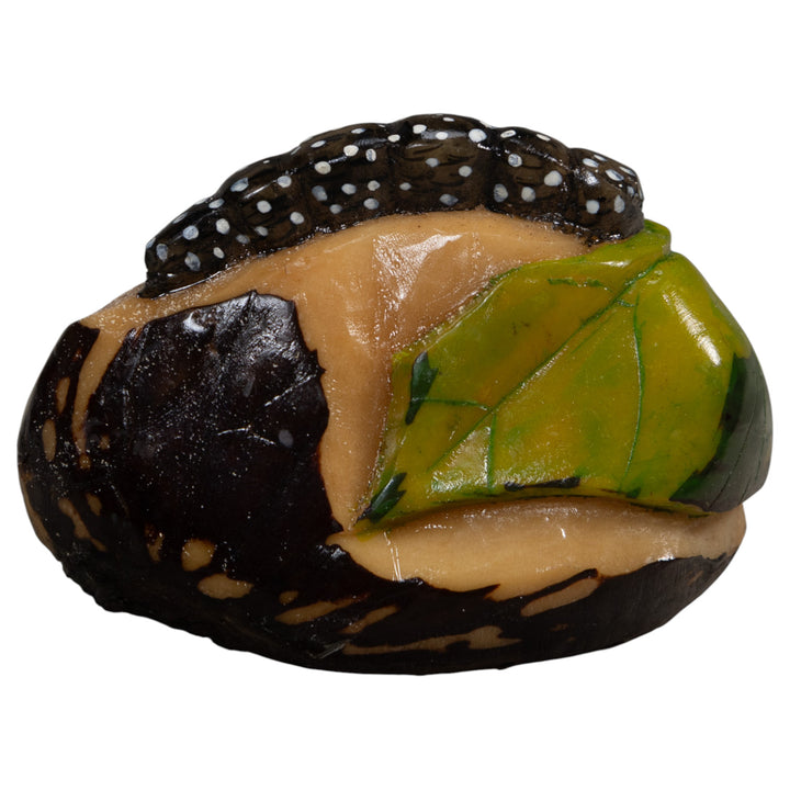 Black White And Green Caterpillar Tagua Carving