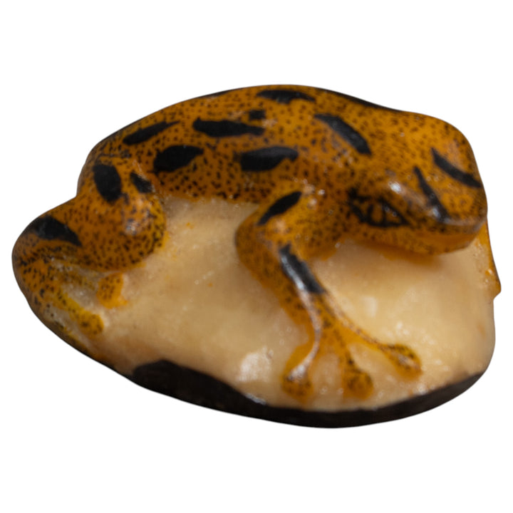 Vintage Gold And Black Poison Dart Frog Tagua Carving