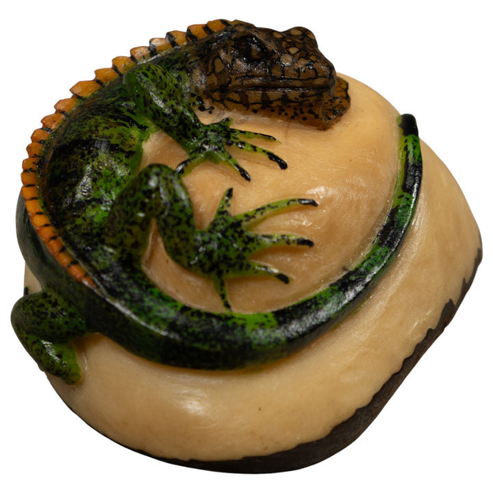Iguana Lizard Reptile Tagua Carving