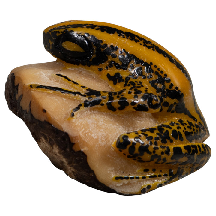 Vintage Yellow And Black Frog Tagua Carving