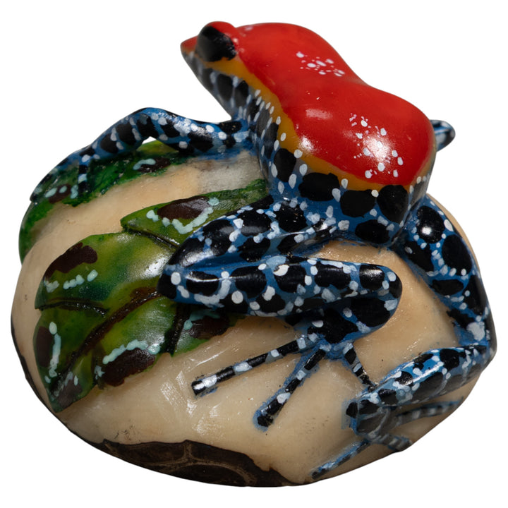Red And Blue Poison Dart Frog Tagua Carving