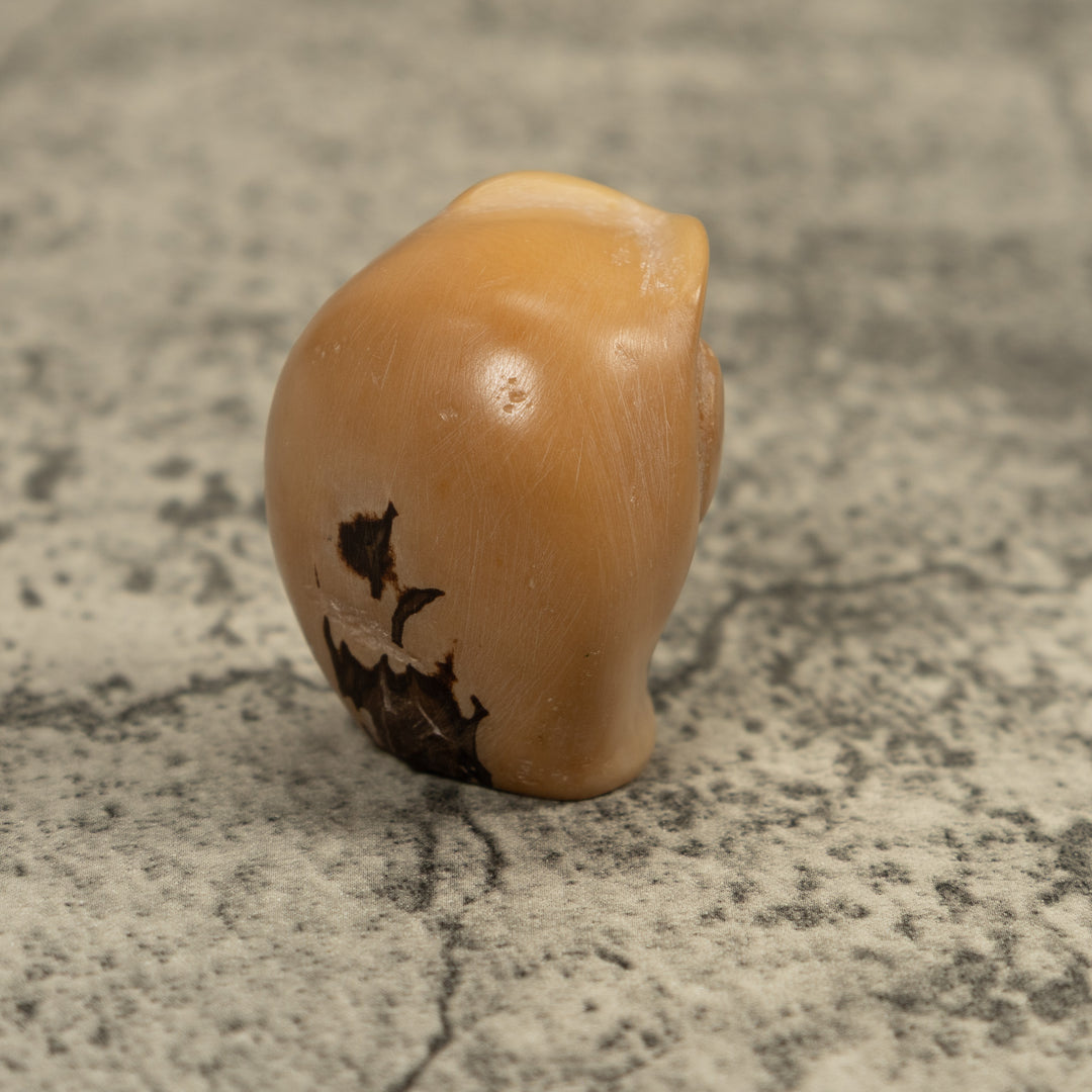 Vintage Natural White Owl Bird Tagua Carving