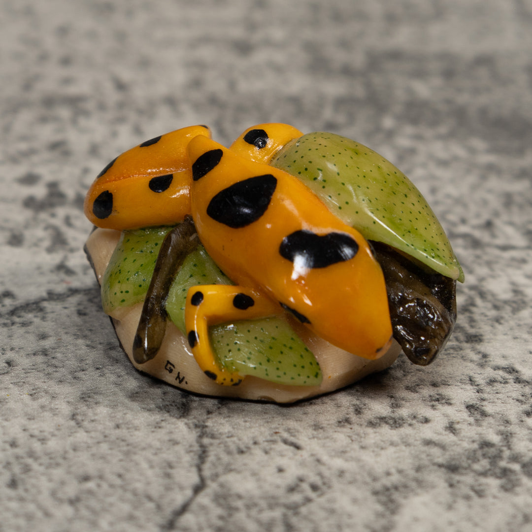 Gold Black And Green Poison Dart Frog Tagua Carving
