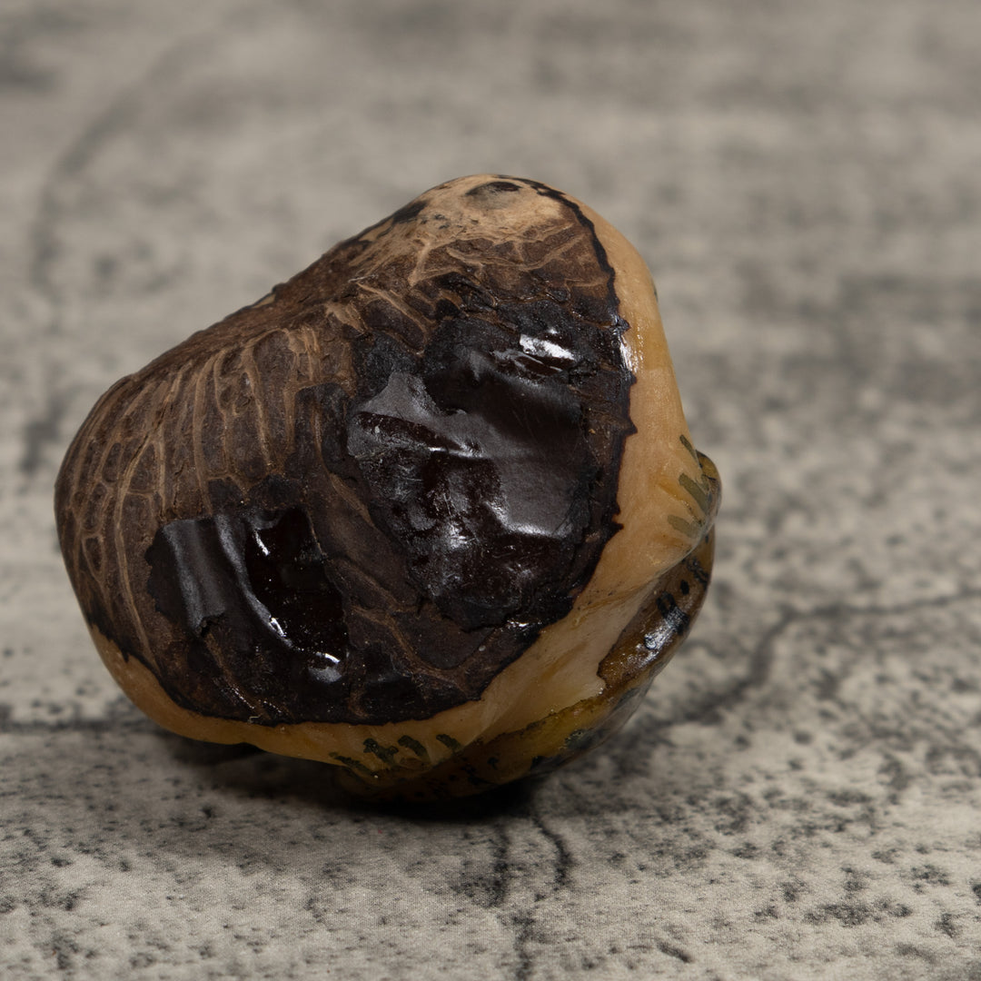 Vintage Frog Tagua Carving